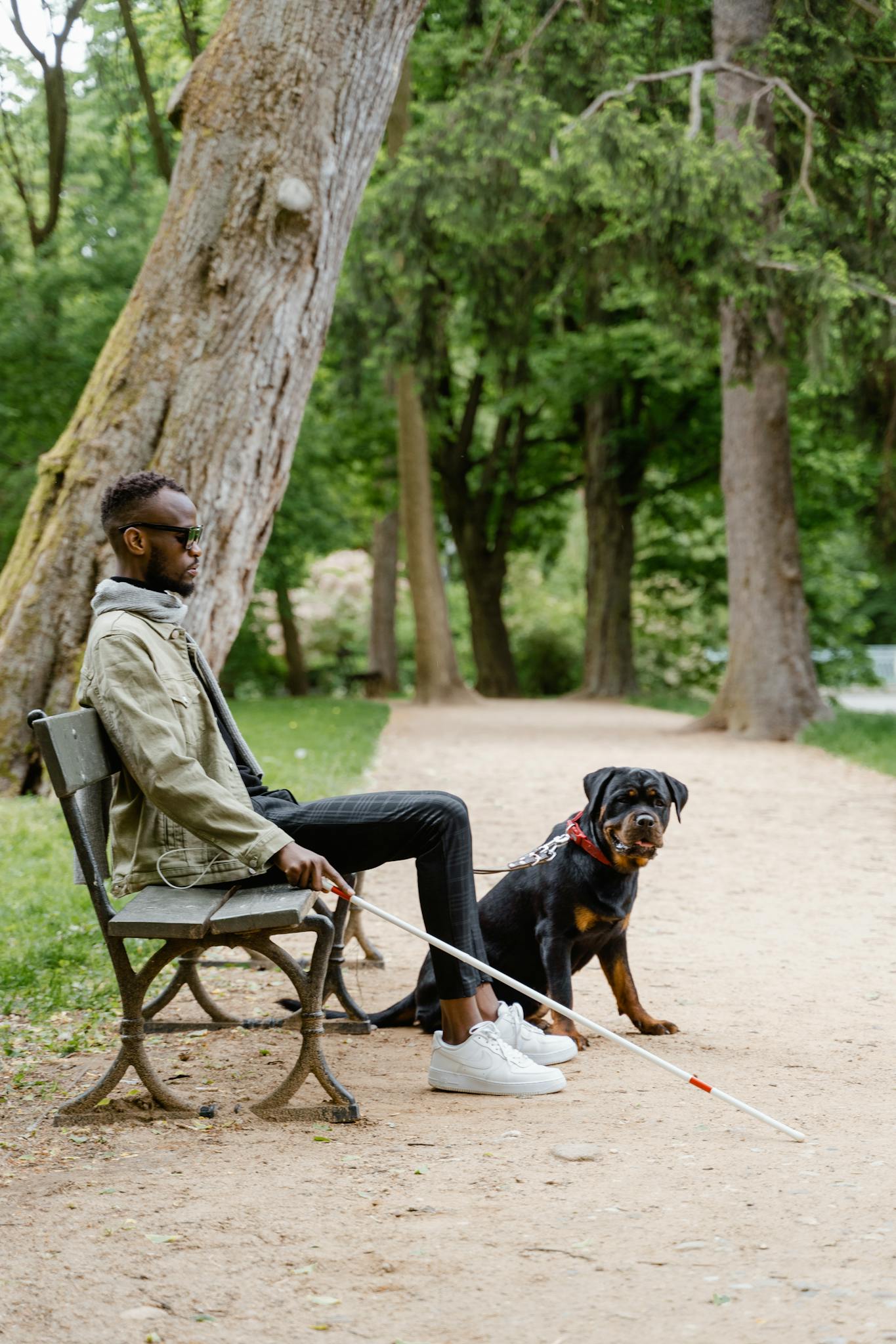 Blind African American man sits with guide dog in a serene park setting, using a white cane for mobility.